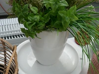 Decoratieve items - afbeelding 4 van  5