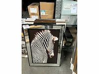 Decoratieve kaders (9x) - afbeelding 7 van  9