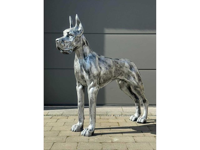 Deense dog h110cm x l125cm old silver - afbeelding 1 van  1