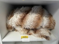 Dekbed zonder gegevens - afbeelding 1 van  1