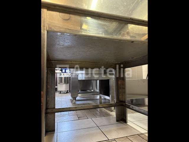 Delrue industriële oven met twee lades - afbeelding 14 van  14