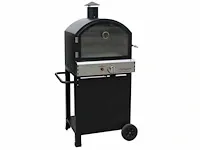 Deluxe pizza oven