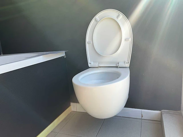 Desco collection catalano hangtoilet - afbeelding 2 van  3