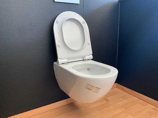 Desco collection catalano hangtoilet - afbeelding 2 van  4