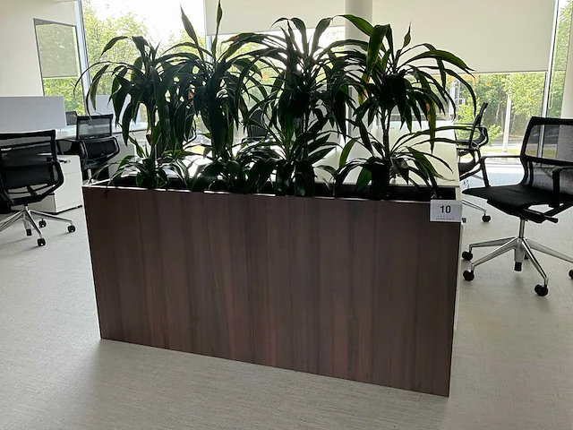 Design plantenbak (6x) - afbeelding 1 van  5