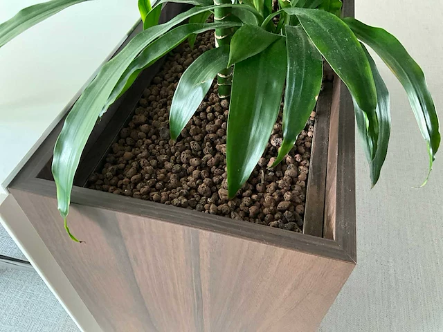 Design plantenbak (6x) - afbeelding 5 van  5