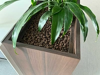 Design plantenbak (6x) - afbeelding 5 van  5