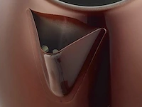 Design waterkoker koper - afbeelding 4 van  4