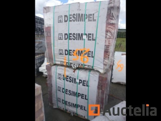 Desimpel forum pampas gevelstenen - afbeelding 1 van  6