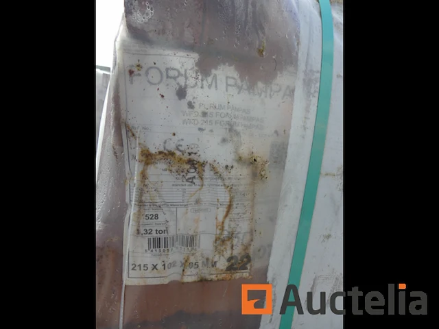 Desimpel forum pampas gevelstenen - afbeelding 2 van  6