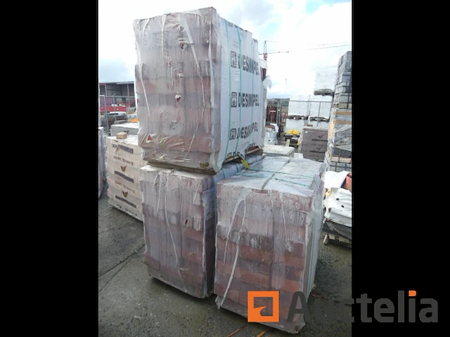 Desimpel forum pampas gevelstenen - afbeelding 3 van  6