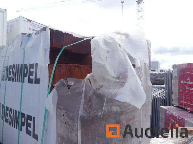 Desimpel forum pampas gevelstenen - afbeelding 4 van  6