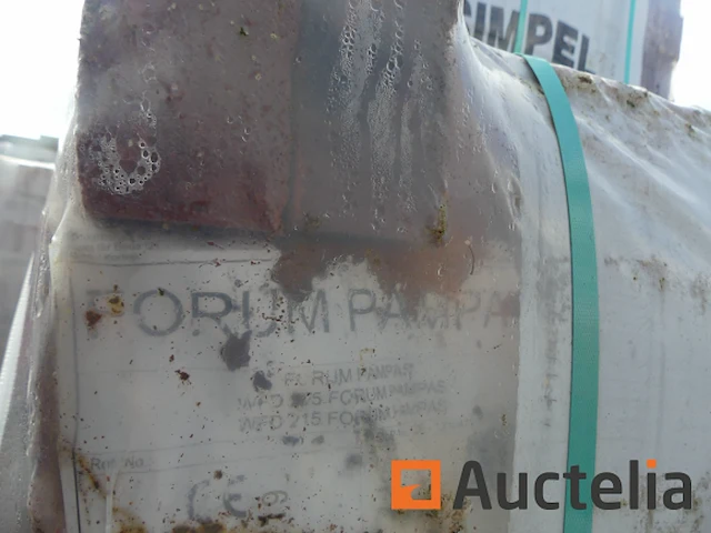 Desimpel forum pampas gevelstenen - afbeelding 6 van  6