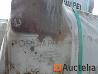 Desimpel forum pampas gevelstenen - afbeelding 6 van  6
