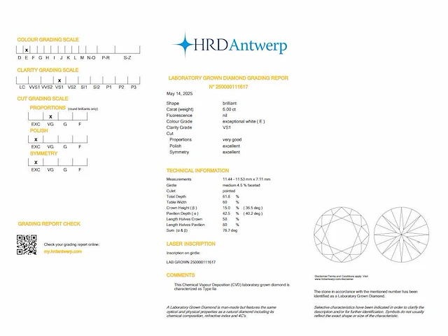 Diamant - round 6.00 ct - e/vs1 (hrd gecertificeerd) - afbeelding 4 van  4
