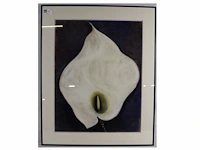 Dick a.g. - afbeelding 1 van  3