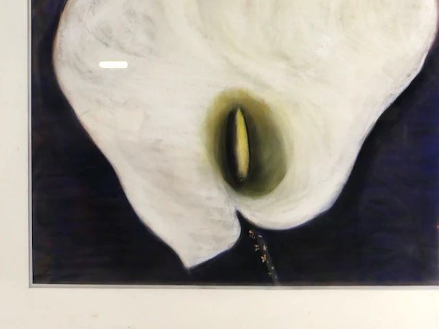 Dick a.g. - afbeelding 2 van  3