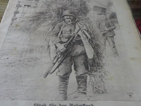 Die wochenschau kriegs nr 19 mei 1917 - afbeelding 1 van  2