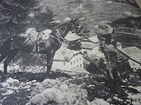 Die wochenschau kriegs nr 51 dec 1916 - afbeelding 2 van  2