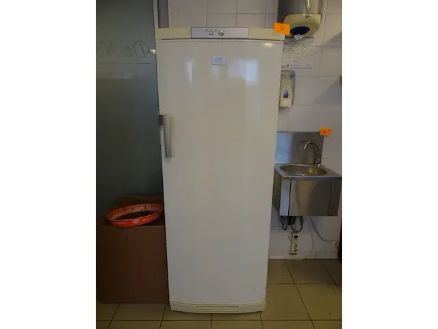 Diepvries aeg - afbeelding 1 van  6