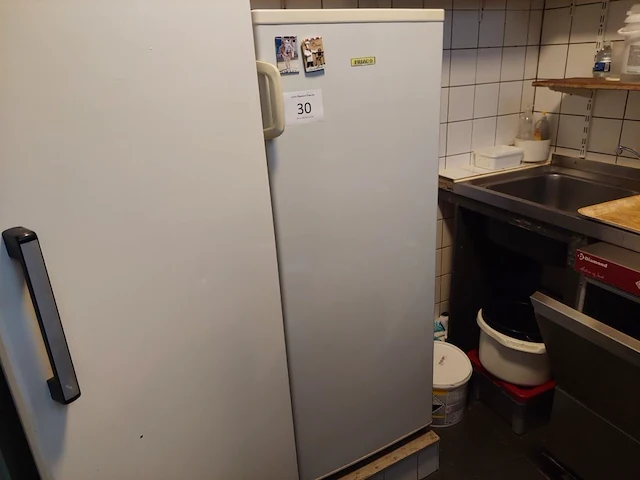 Diepvries friac + inhoud - afbeelding 1 van  3