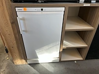 Diepvries liebhernn 55x82 - afbeelding 1 van  2
