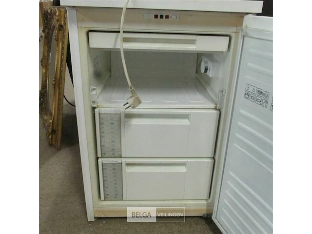 Diepvries model - afbeelding 5 van  6