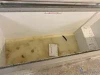 Diepvrieskist vestrost - afbeelding 2 van  4