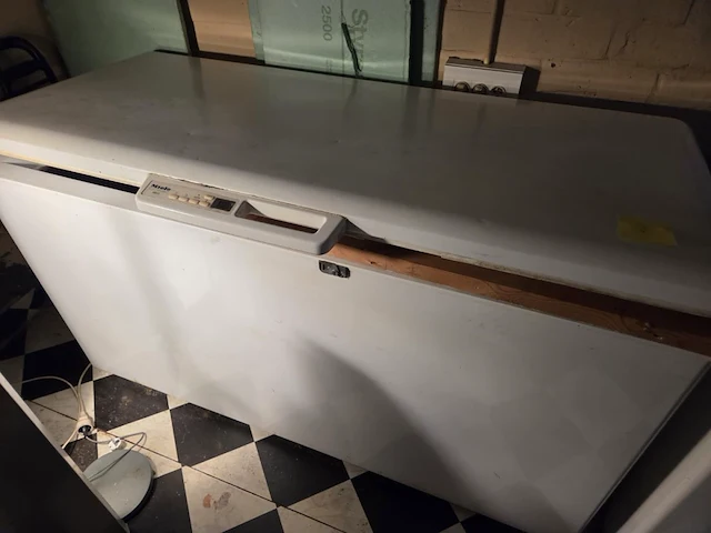 Diepvrieskoffer miele - afbeelding 1 van  4