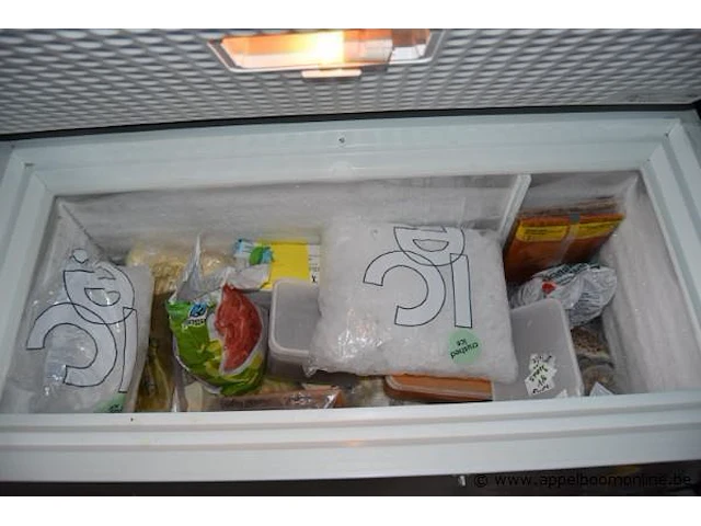 Diepvrieskoffer siemens met inhoud - afbeelding 3 van  3