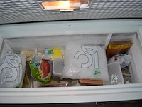 Diepvrieskoffer siemens met inhoud - afbeelding 3 van  3