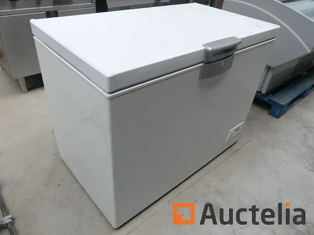 Diepvriezer bahut beko hsa32520 - afbeelding 3 van  7