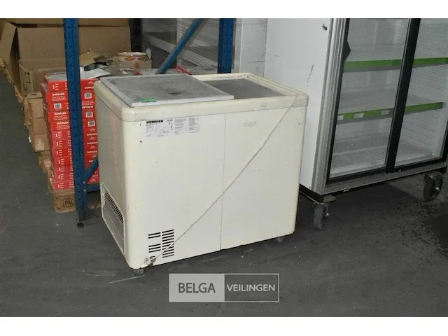 Diepvriezer liebher 245 l 220 v l1,00 x 0,66 x 0,92 - afbeelding 2 van  3