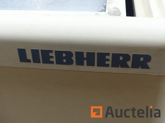Diepvriezer liebherr gte 3000 index 14d/328 schuifdeksel - afbeelding 1 van  6