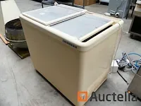 Diepvriezer liebherr gte 3000 index 14d/328 schuifdeksel - afbeelding 2 van  6