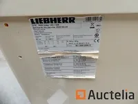 Diepvriezer liebherr gte 3000 index 14d/328 schuifdeksel - afbeelding 3 van  6