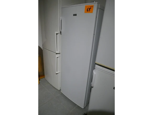 Diepvriezer witte kleur friac - afbeelding 1 van  4