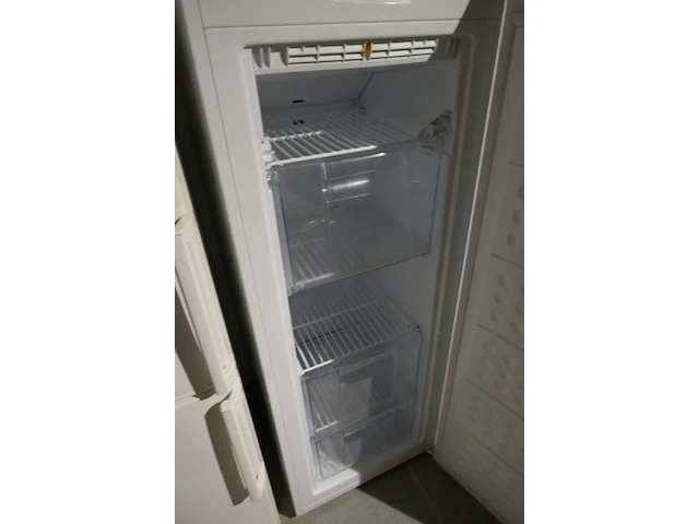 Diepvriezer witte kleur friac - afbeelding 3 van  4