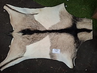 Dierenhuid - afbeelding 1 van  1