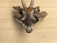 Dierenkop - afbeelding 1 van  3
