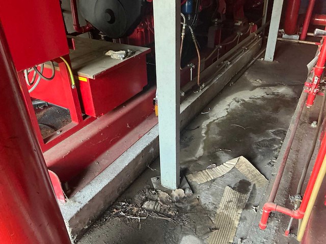 Dieselpomp - afbeelding 3 van  12