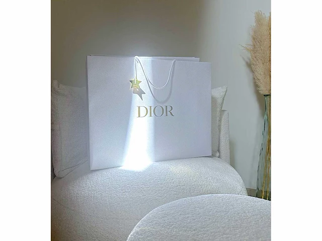 Dior luxe-handtas 'large book tote' (limited edition) - afbeelding 10 van  10
