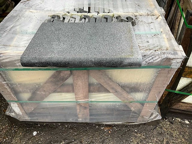 Diorithe zwembadboord 50 lm - afbeelding 1 van  2