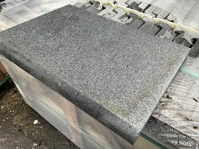 Diorithe zwembadboord 50 lm - afbeelding 1 van  3