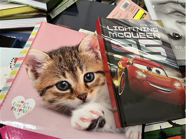 Div. schrijfboekjes en agenda's - afbeelding 2 van  4