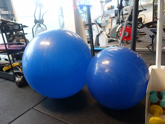 Divers fitness toebehoren - afbeelding 12 van  17