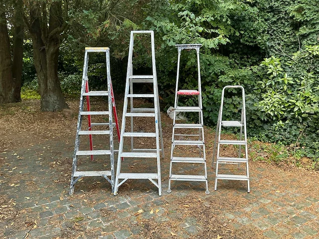 Divers lot van diverse ladders - afbeelding 2 van  8