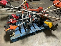 Diverse bosmaaiers (8x) - afbeelding 1 van  15