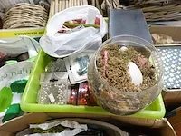 Diverse decoratie met 2 lijmpistolen en decoratie schalen - afbeelding 7 van  8