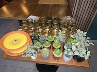 Diverse decoratie - afbeelding 2 van  2